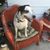 Linda Schipper's profile image
