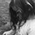 Jen Prendeville Bilello's profile image