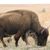 Wendell Yarber's profile image