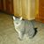 G.g. Welty's profile image
