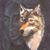 Jim Ciociola's profile image