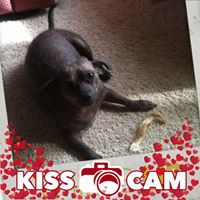 Sue Scollard Trowbridge's profile image