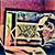 Robert Sapia's profile image