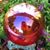 Pearle Ann Pruitt's profile image