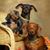 Robert Walker's profile image