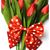 Ekam Tirath Gill's profile image