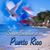 Rober Lugo's profile image