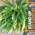 Maureen Patrick Pitre's profile image