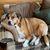 Frank Tuffy's profile image