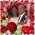 Federico Nunez's profile image