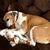 Sandra Thristle's profile image