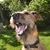 Larie Hannan's profile image