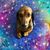 Lynne Sack's profile image
