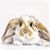 Dorothy Weber's profile image