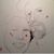 Clementine Latimer Quarders's profile image