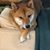 Fredrick J Inman's profile image