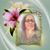 Emelia Alarcon's profile image