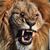 Javier Perez's profile image