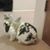 Nudge Green's profile image