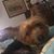 Marjorie Jarrell Castle's profile image