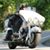 Laurie Ryan-Davis's profile image