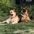 Cher Clements Lembke's profile image