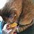 Brenda S Hursh's profile image