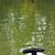 Tricia Gill's profile image