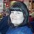 Darlene Garner-OBrien's profile image