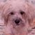 Eileen Holt's profile image