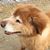 Joann Landon's profile image