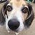 Dawn Renee Hislope Schmidt's profile image