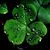 Annette Butkovich's profile image