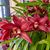 Sandra A Saldivar's profile image