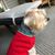 Daniel Ormandy's profile image