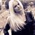 Ulyana Osipova's profile image
