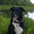 April Lunde Barron's profile image