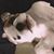 Jennifer Coon's profile image