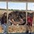 Debby Trealoff Richard's profile image