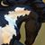 Susan Beaulieu's profile image
