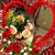 Jennifer Lynn Raabe's profile image