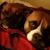 Brad Lee Fuller's profile image