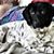 Jason Bloom's profile image