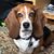 Heather Elsholz Jedrus's profile image