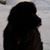 Cole Kernodle's profile image