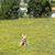Maria Ines Andura's profile image