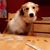 Lisa Wolter Saathoff's profile image