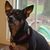 Ellen Shaughnessy Machado's profile image