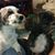 Deborah Gage's profile image