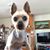 Tina Schwartz's profile image
